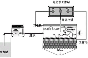 碳納米管一體化電芬頓膜的制備方法及其應用