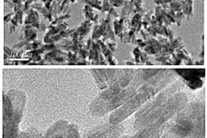 ZnO納米棒分子印跡熒光傳感器及其制備方法和應用
