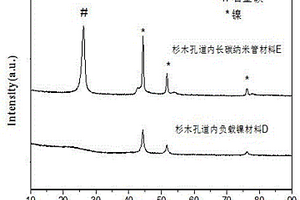 生物質基大孔內生長碳納米管的功能材料的制備方法及其應用
