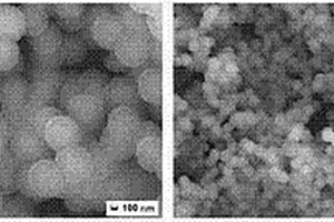 ZnS量子點硅基表面分子印跡傳感器的制備方法及應用