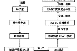 細菌纖維素/透明質酸復合材料的制備方法