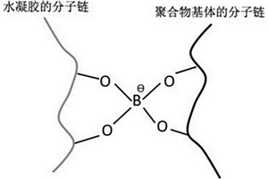 聚合物功能材料及其制備方法、應用