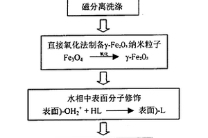 腫瘤磁致熱療用納米發熱劑的制備方法