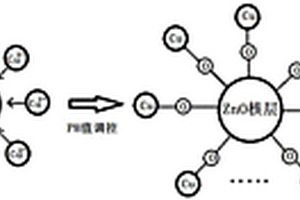 ZnO-CuO核殼結構量子點/納米晶及其制備方法