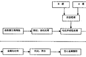以微生物細胞為模板的空心金屬微粒及其制備方法