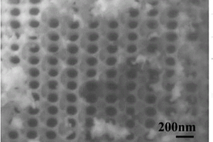 三維有序孔結構沸石分子篩及其制備方法