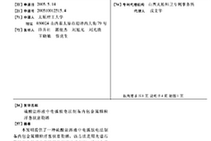 硫酸鹽溶液中電弧放電法制備內包金屬顆粒洋蔥狀富勒烯