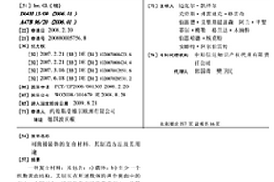 可直接裝飾的復合材料、其制造方法及其用途