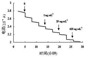 通用型抗生素檢測傳感器的制備方法及其應用