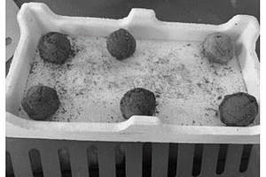 多源固廢協同制備環境功能材料的方法
