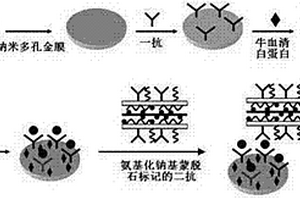 基于氨基化鈉基蒙脫石的腫瘤標志物傳感器的制備及應用