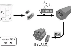 高分散的金屬催化劑及其制備方法和應用