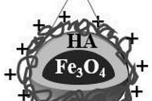 用于油水分離的Fe3O4/HA/CSMNPs及制備方法、應用
