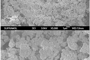 抗H<sub>2</sub>O、SO<sub>2</sub>、重金屬和粉塵毒化的煙氣脫硝多元催化劑