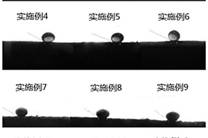 親水疏油海綿及其制備方法和應用
