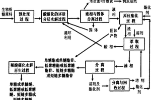 生物質及其他多結構體輕質化的分解物原位定向合成與再生和循環利用的系統