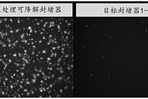 可降解封堵器抗凝血及快速內皮化涂層及其制備方法