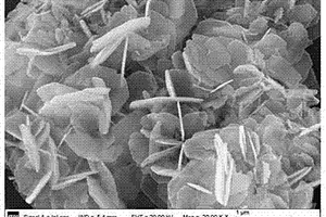 采用高壓連續進料技術制備鎂基層狀復合金屬氫氧化物的方法