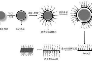 兩親Janus片狀材料及其制備方法和應用