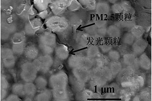 可示蹤PM2.5顆粒復合材料及其制備方法