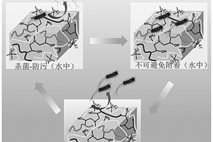 殺菌、低細菌粘附、細菌釋放的抗菌水凝膠及其制備方法和應用