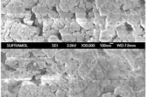 用于煙氣脫硝的抗H<sub>2</sub>O、SO<sub>2</sub>、重金屬和粉塵毒化多元催化劑