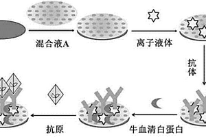 有序介孔碳構建的婦科腫瘤標志物免疫傳感器制備及應用