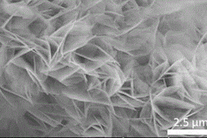 Ni(OH)<sub>2</sub>-NiTe<sub>2</sub>復合電解水催化劑的制備方法