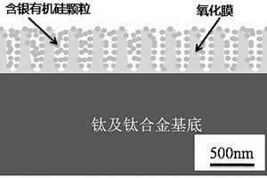 空間環境用基材表面抗菌結構及其制備方法