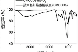 光敏組分及其在光引發自由基聚合中的應用