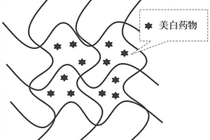 美容仿生聚合物膜及其制備方法和應用