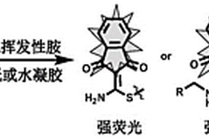 具有熒光響應的小分子探針在制備熒光傳感器的應用及基于其的熒光傳感器