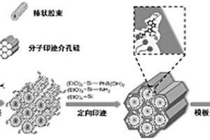 分子印跡介孔材料合成方法與應用