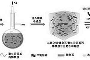 光熱轉換水凝膠的制備方法及應用