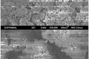 抗H<sub>2</sub>O、SO<sub>2</sub>和堿金屬化毒害的煙氣脫硝多元催化劑