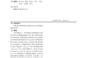 甲胎蛋白和癌胚抗原電致化學發光傳感器的制備及應用