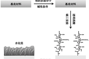 具有生物抗污功能的材料、其制備方法及應用