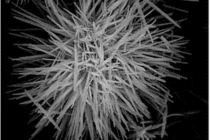 石墨烯/氧化鋅納米花/ITO電極的制備及應用