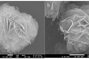 g-C<sub>3</sub>N<sub>4</sub>/BiOI-pDA@PVDF光催化膜的仿生構建方法及其用途