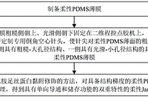 具有雙重特性的柔性Janus多孔表面的制備方法及其應用