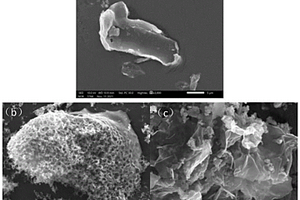 氮摻雜生物炭及其制備方法和應用