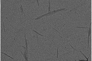高性能生物基復合膜及其制備方法