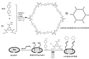 含聯吡啶基團的共價有機框架的制備及其在汞離子識別中的應用
