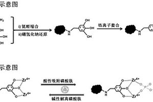 以納米金剛石為基質的磷酸化肽吸附劑及其制備和應用