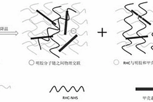 重組膠原蛋白水凝膠3D打印墨水及其應用