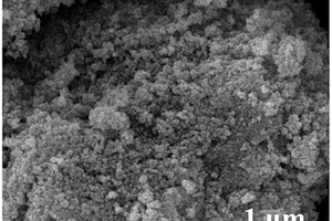 TiO<sub>2</sub>納米顆粒包覆碳層電流變復合材料的制備方法