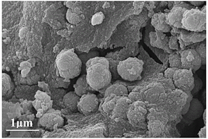 TiO<Sub>2</Sub>-SiO<Sub>2</Sub>氧化物復合材料及其制備方法
