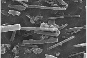 基于半固態擠壓制備定向排列SiC納米線增強鋁基復合材料的方法