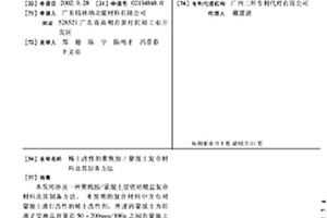 稀土改性的聚酰胺/蒙脫土復合材料及其制備方法