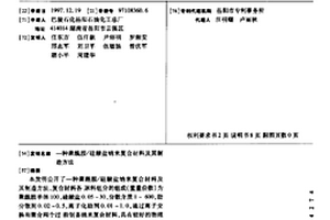 聚酰胺/硅酸鹽納米復合材料及其制造方法